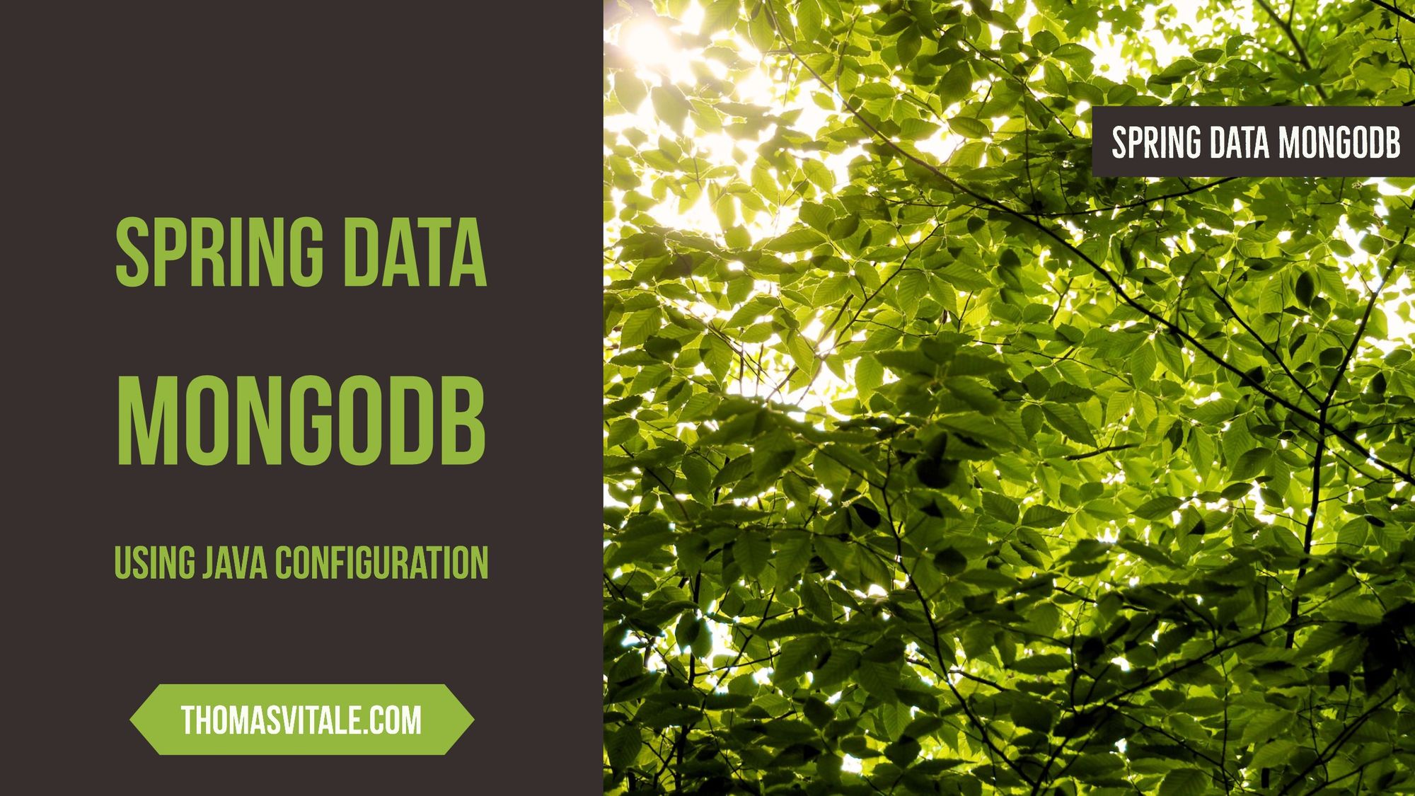 mongodb spring configuration