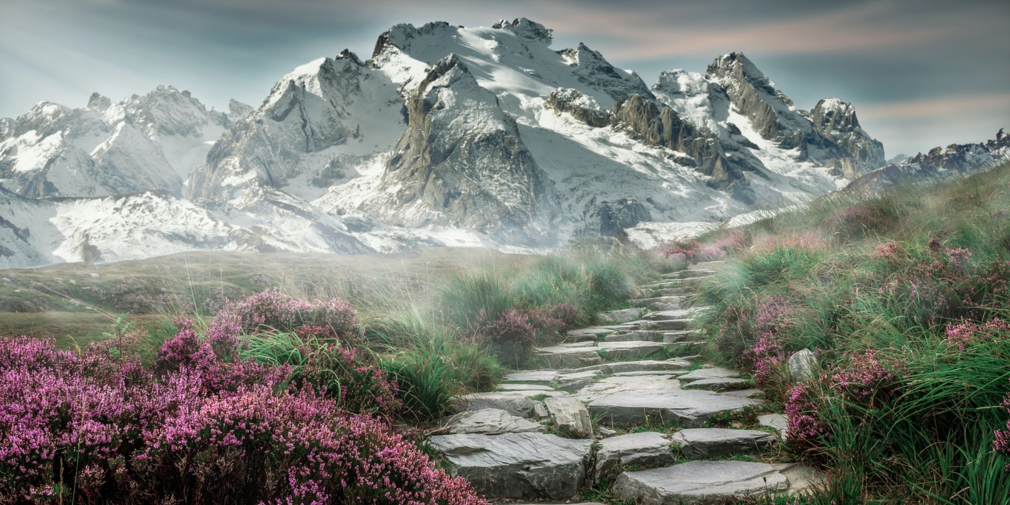 A path surrounded by flowers and green plants, heading towards mountains covered in snow.