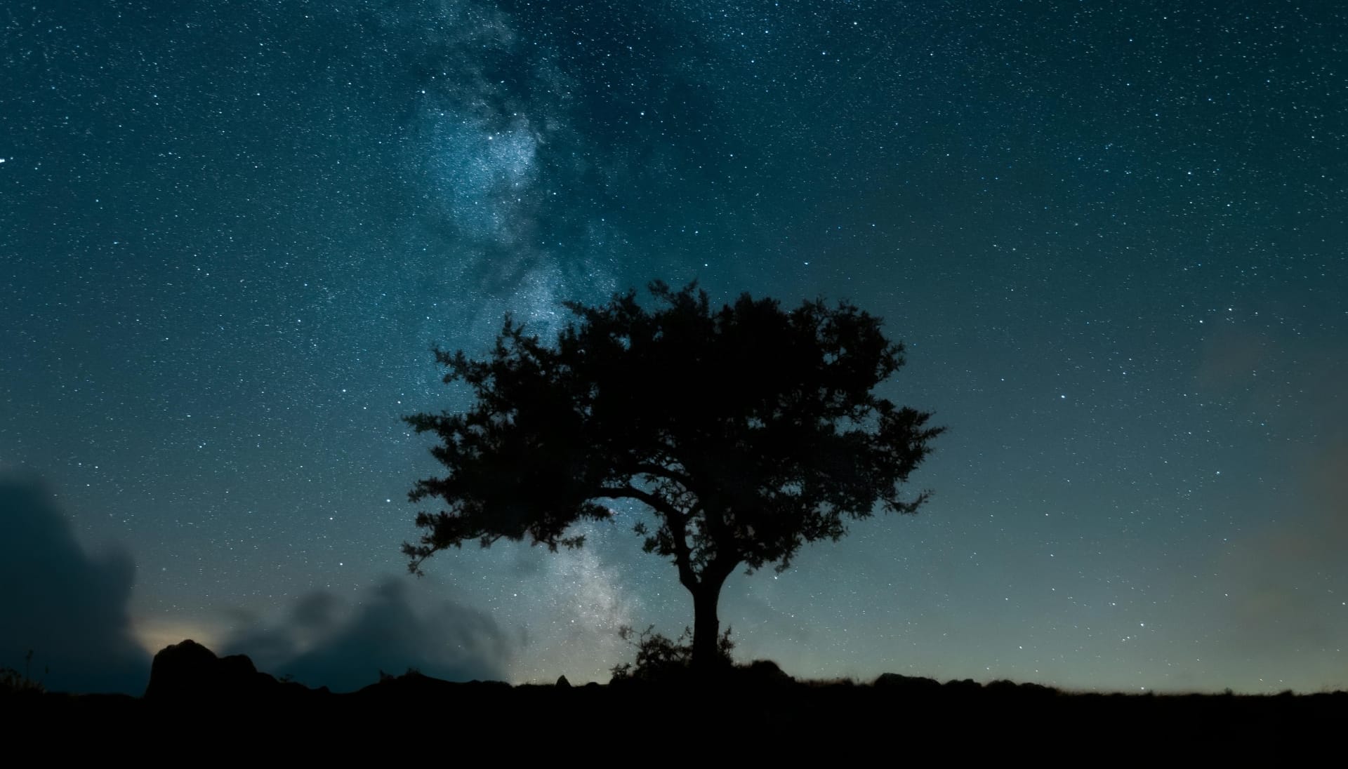 Silhouette of Tree Under Starry Sky - Photo by Fatih Doğrul